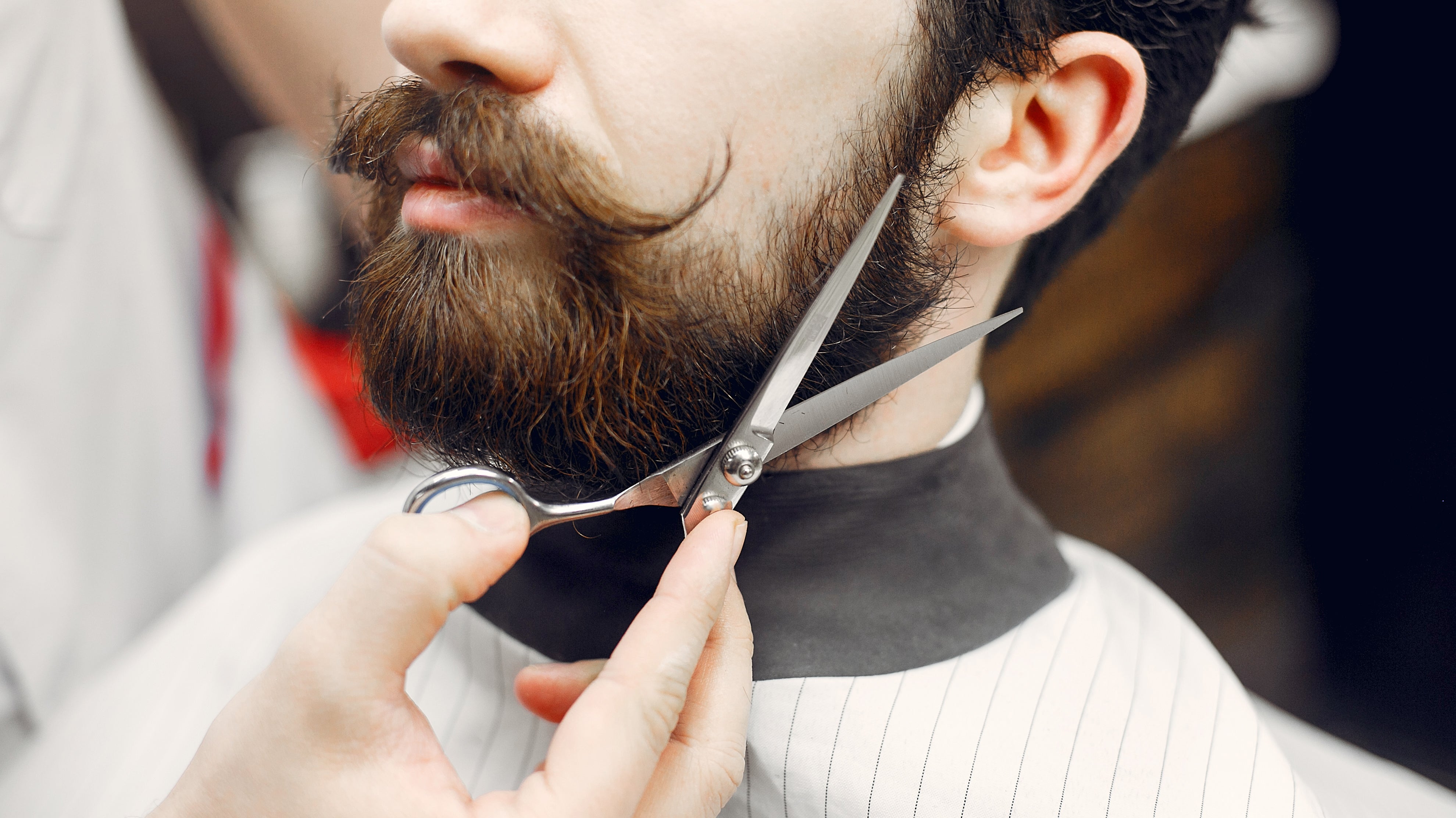 The Essential Grooming Kit: How To Build The Perfect Grooming Kit For Home And Travel